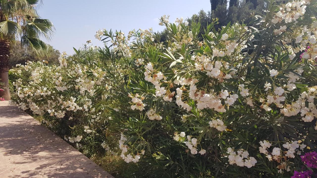 Riad-villa Agadir-taroudant Villa *