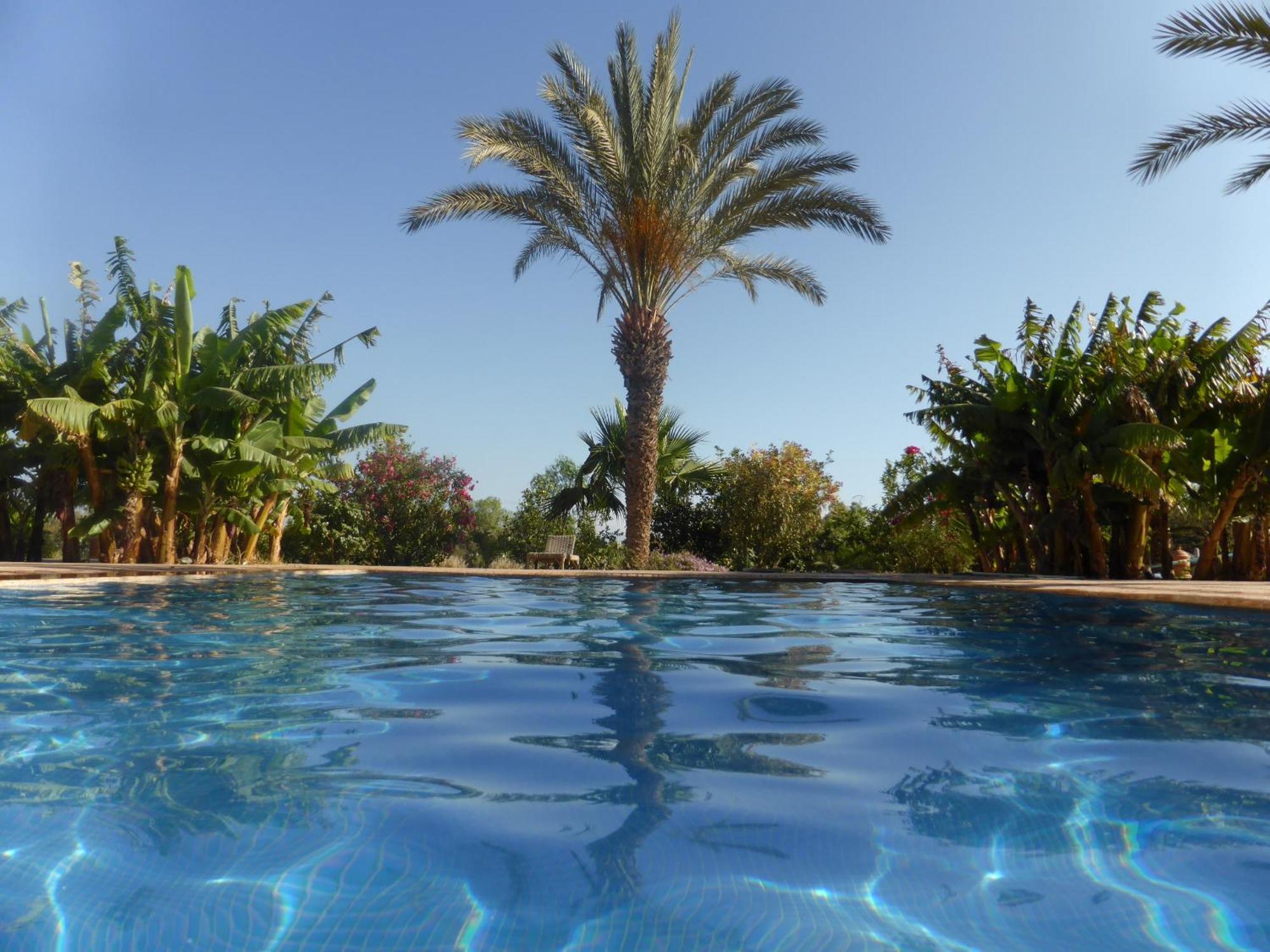 Riad-villa Agadir-taroudant * Sidi Boumoussa