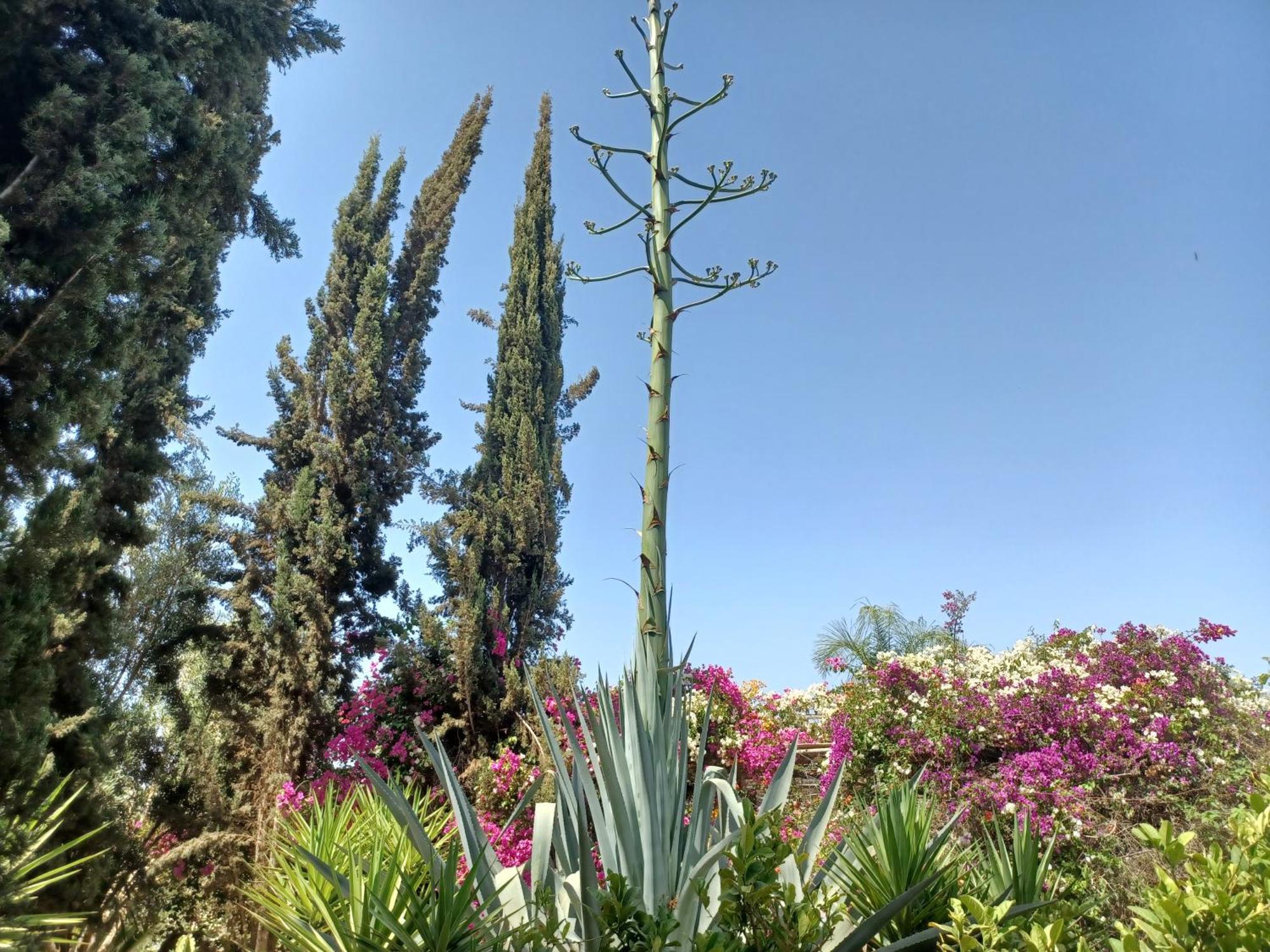 Riad-villa Agadir-taroudant Villa Sidi Boumoussa
