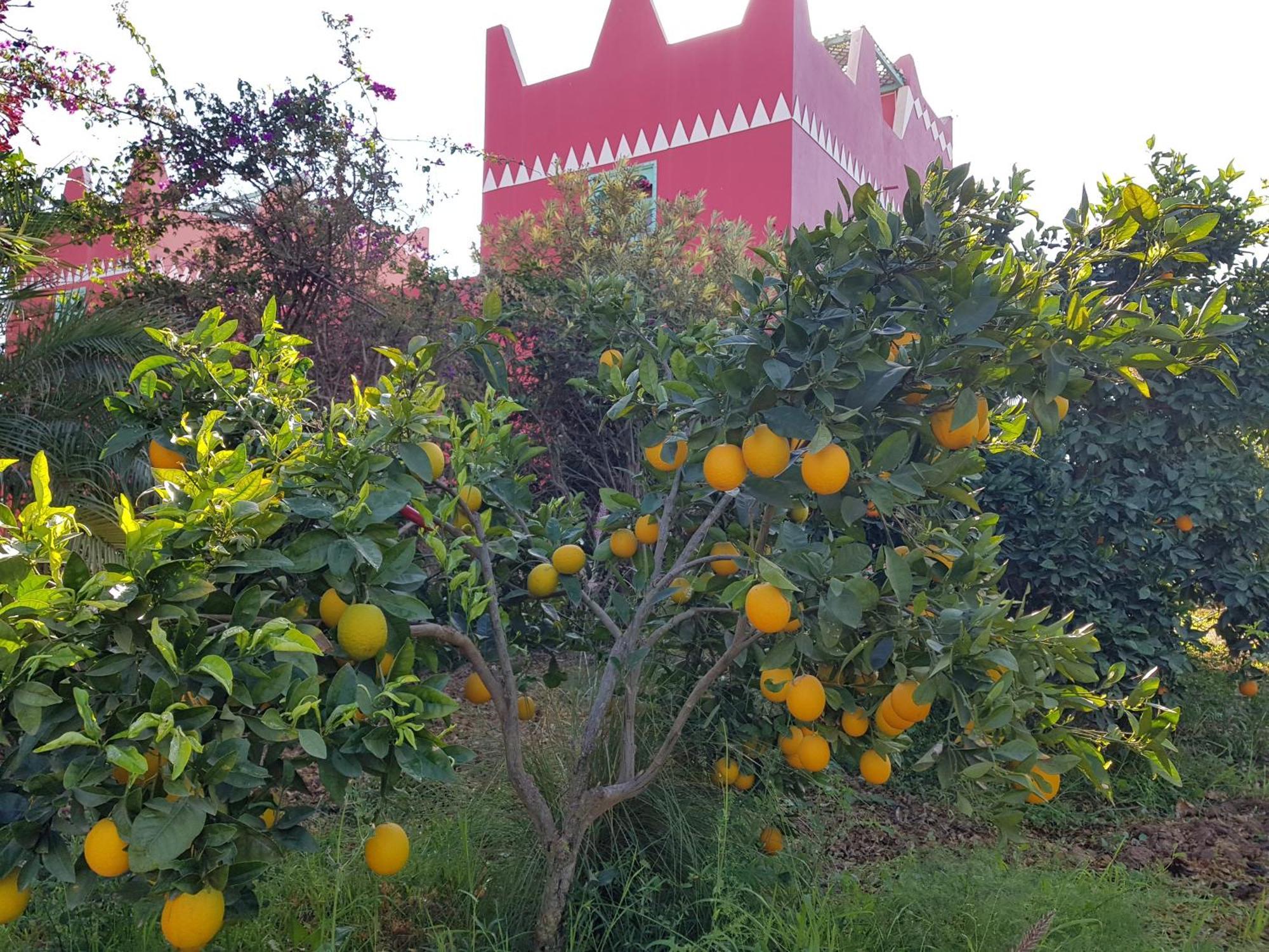 Riad-villa Agadir-taroudant Sidi Boumoussa