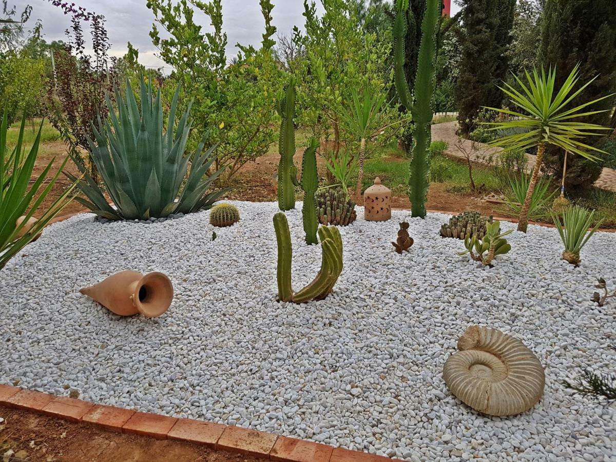 Villa Riad-villa Agadir-taroudant