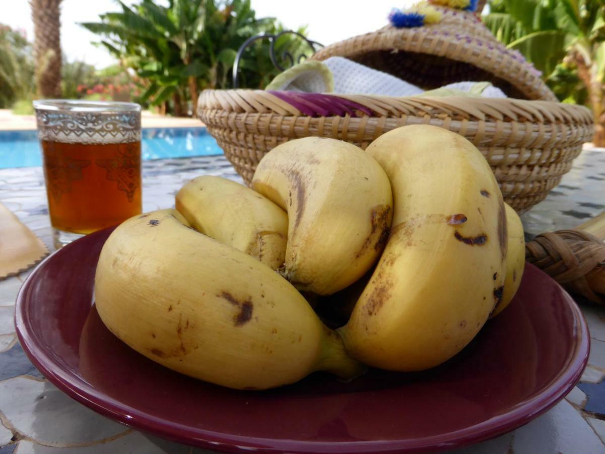 Riad-villa Agadir-taroudant * Sidi Boumoussa